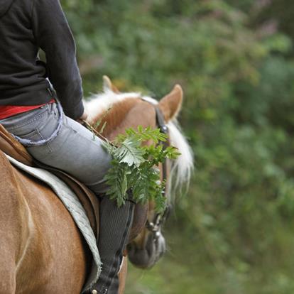 Paardrijden in Marlengo en omgeving