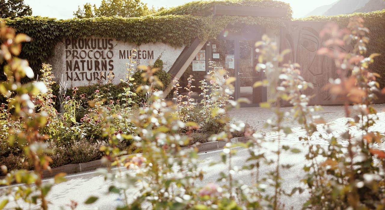 Prokulus Museum