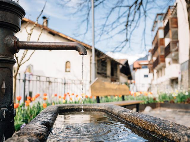 -bp-496178-c-benjamin-pfitscher