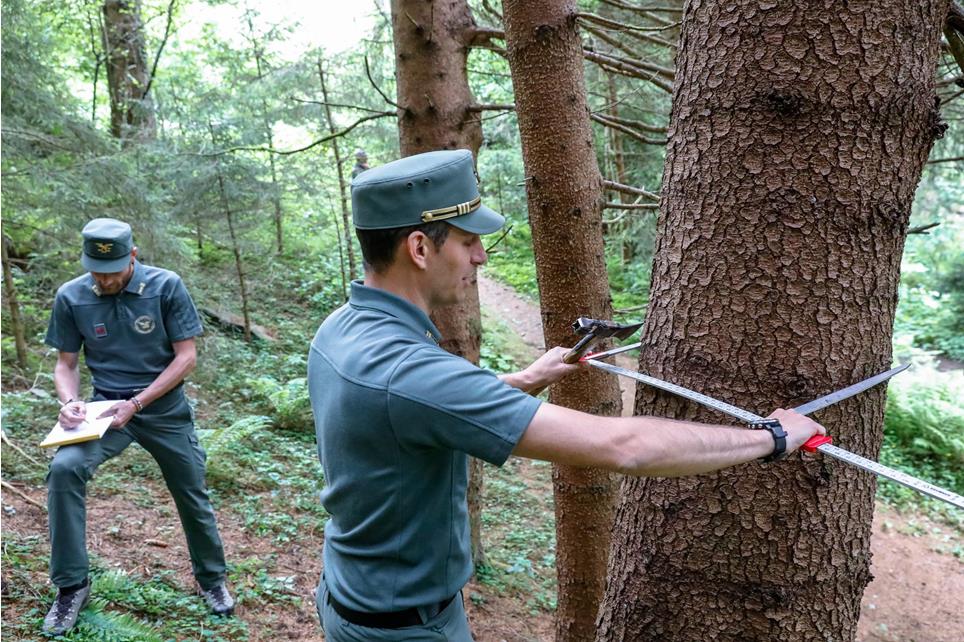 schuler-20220530-forst-oskarverant-69a0321