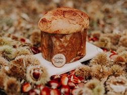 Chestnut-Panettone
