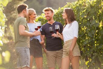 WeinKultur Erlebnisse 2026