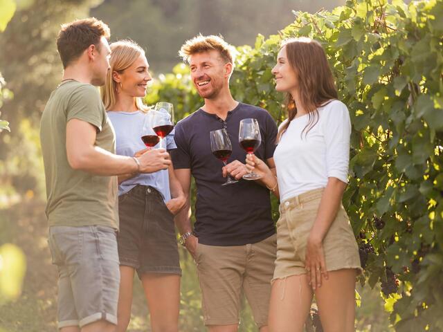 WeinKultur Erlebnisse 2026