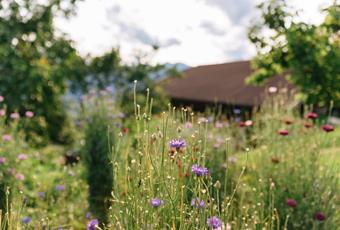 Handwerk & Kreatives