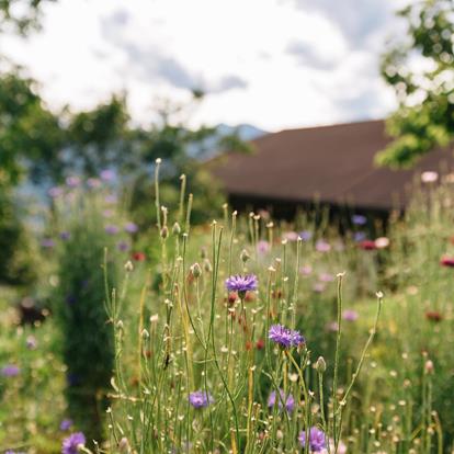 Handwerk & Kreatives