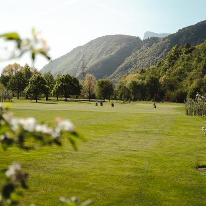 Apfelblüten Golfturnier- Greens und Gaumenfreuden