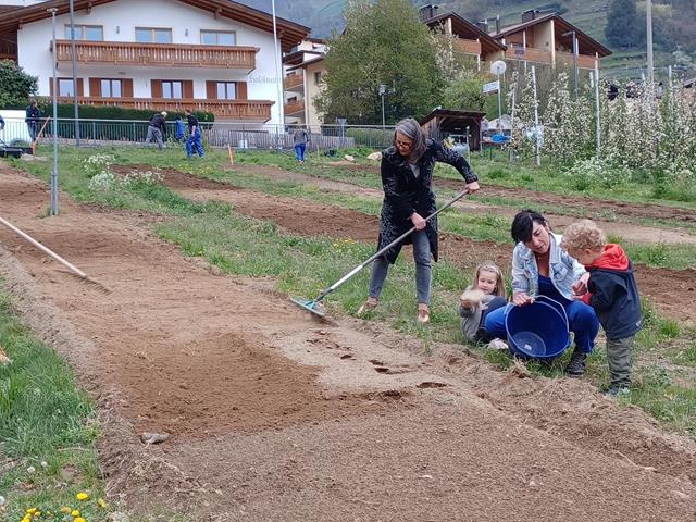 projekt-wildblumenwiese-puitwies-tv-partschins-2022-april-48