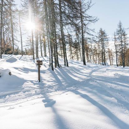 Sentieri escursionistici ad Avelengo-Verano-Merano 2000