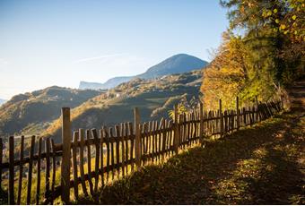 Herbstwanderungen rund um Meran in der Region Lana