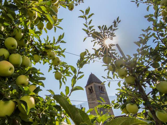 herbst-apfel-prokulus-kirche-tg-naturns-frieder-blickle-3