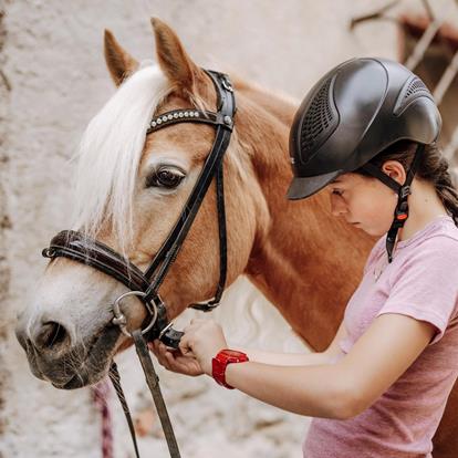 Horse Riding in Lana and Environs