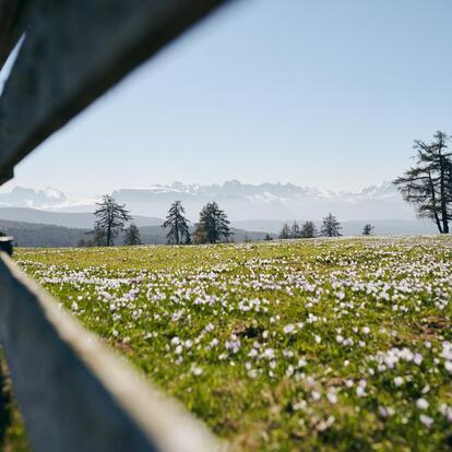Benvenuti sul Tschögglberg in Alto Adige