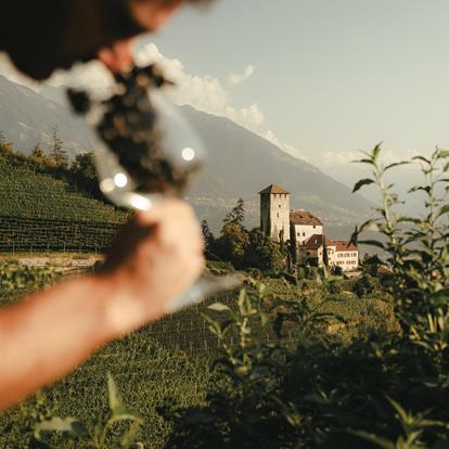 Maßgeschneiderte Erlebnisse und Aktivitäten in Lana und Umgebung