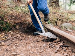 Un uomo d'azione – In memoria di Otto Gurschler