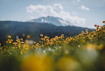 Achtsam am Berg und im Tal