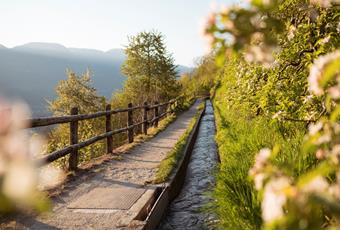 Irrigation channels in the Vinschgau Valley near Naturns