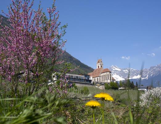 tv-marling-sigrid-frei-natur-und-landschaft-kirche-blume-02