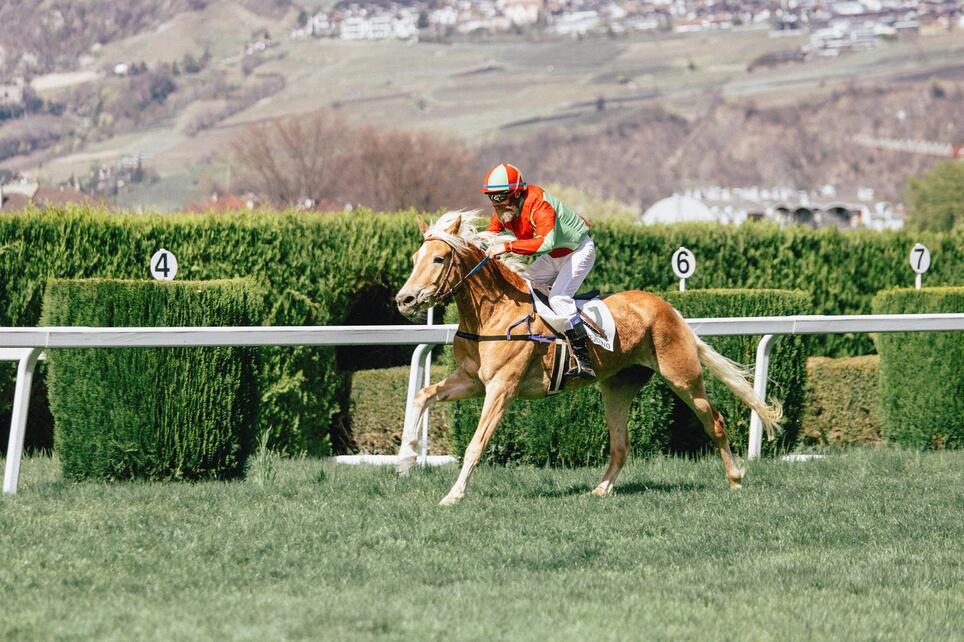 haflinger-pferde-sportverein-bernhard-aichner-ostergalopprennen-2023-2-img-9686-fullres-2