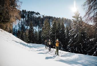 Moeilijkheidsgraad: gemakkelijk