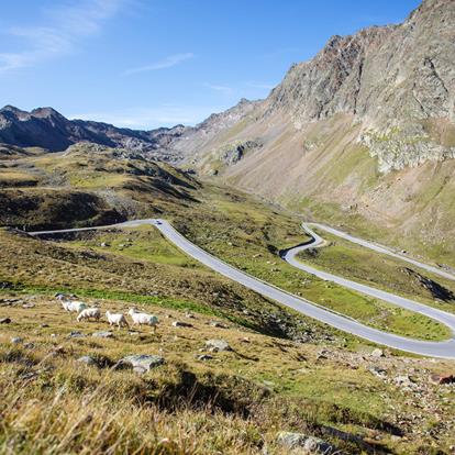 Arrivare a Lana in macchina