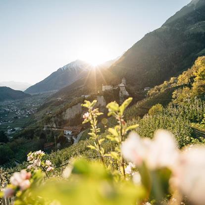 Der spannendste Frühling ist in Dorf Tirol: