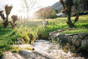 Acqua Potabile a Tirolo