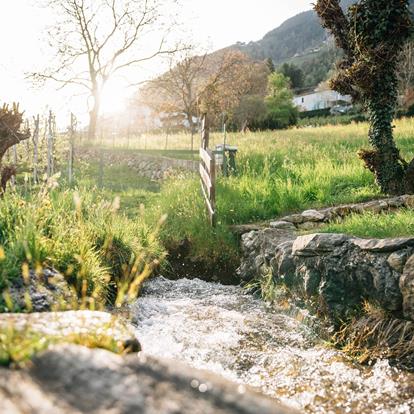 Wasser – ein kostbares Gut, ganz nah