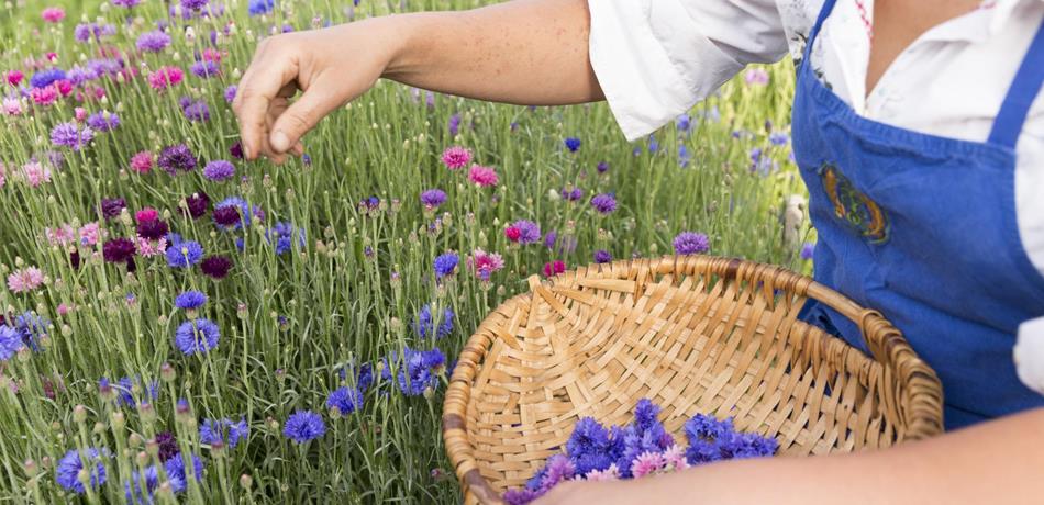 Relaxation & nature in Naturns: Natural wellness in Naturns