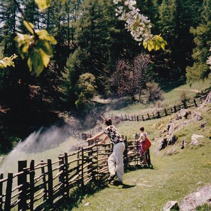 La nascita dell'Alta Via di Merano