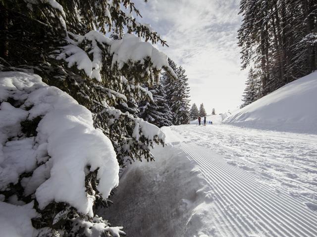 Geführte Wanderungen