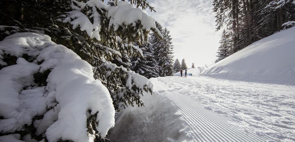 Geführte Wanderungen