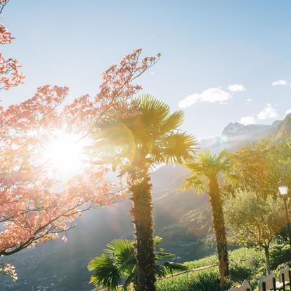 Hiking in Dorf Tirol