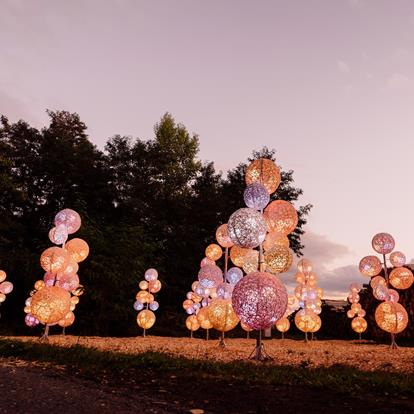 Die leuchtenden Gärten von Schloss Trauttmansdorff: