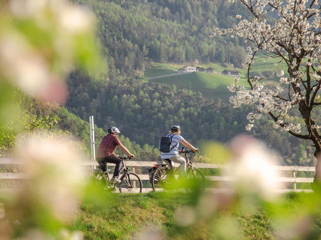 fruehling-radfahren-bluete-tg-naturns-fotostudio-2000-1