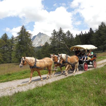 Equitazione-Gita-in-carrozza-Avelengo-Verano-Merano2000-nw