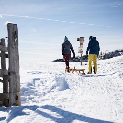 Winterwanderungen und Schneeschuhwanderungen auf dem Hochplateau Hafling, Vöran, Meran 2000