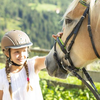 Manege & koetsendienst
