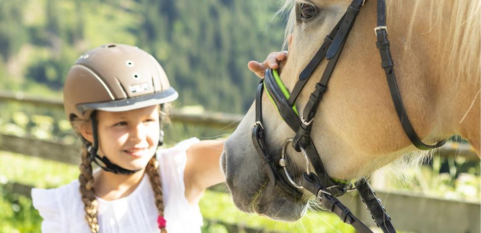 Manege & koetsendienst