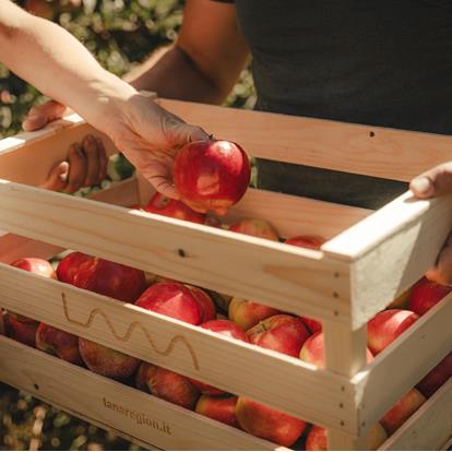 Maßgeschneiderte Erlebnisse und Aktivitäten in Lana und Umgebung