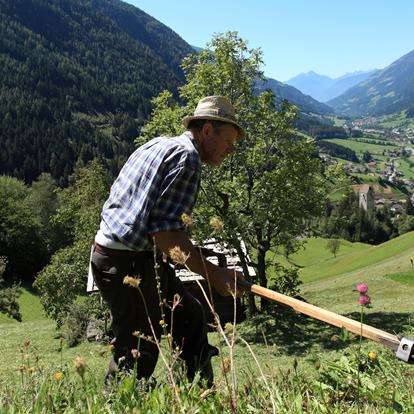 The place and the people in Passeiertal Valley