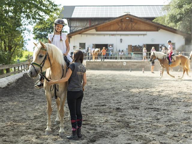 Riding-Haflinger-horse-paddock-Avelengo-Verano-Merano2000-ml