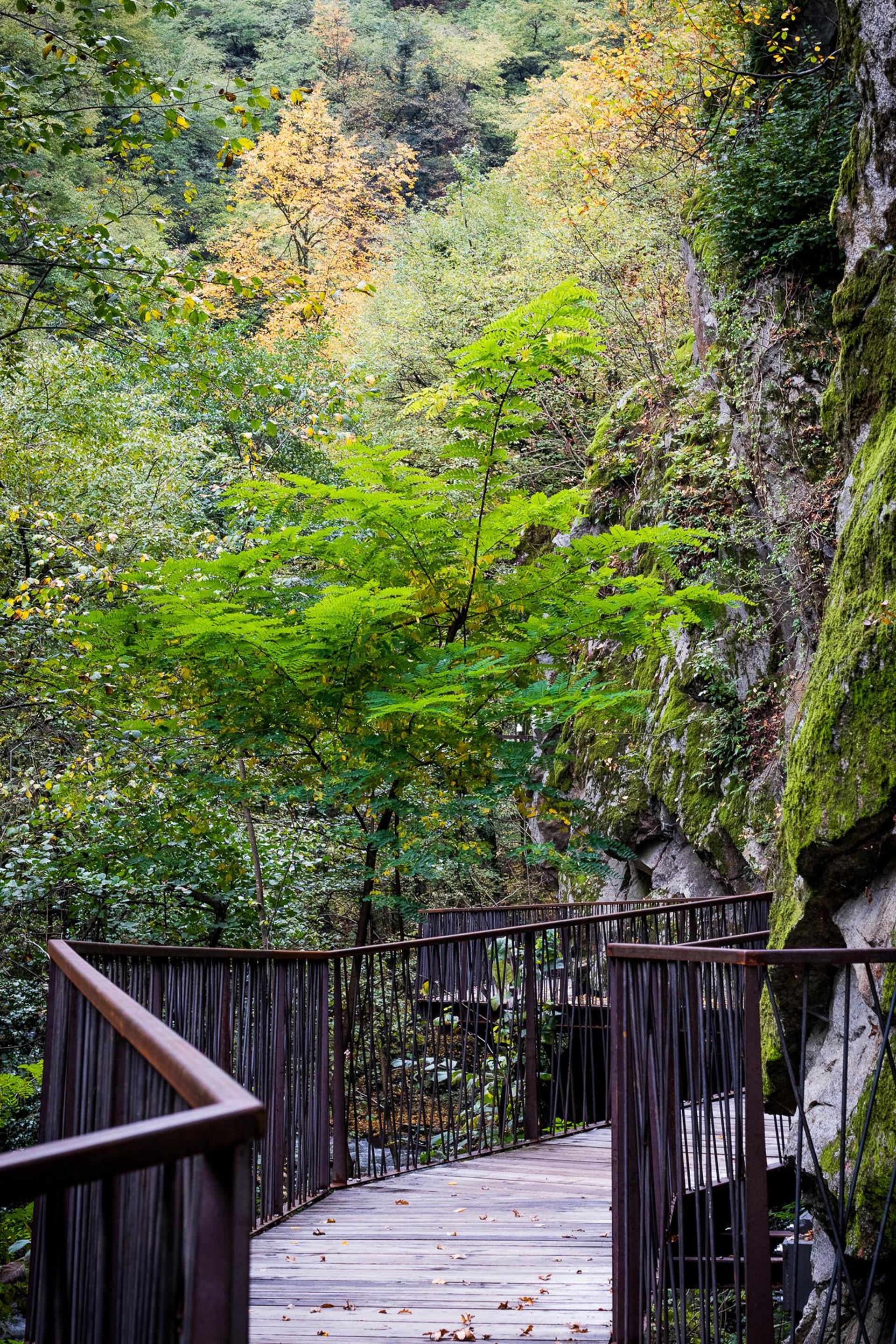 Gaulschlucht Lana