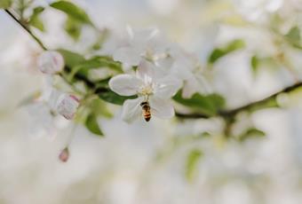 Veranstaltungs-Highlights