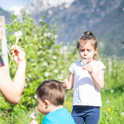 Ecologisch verantwoord reizen