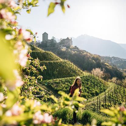 Urlaub in Dorf Tirol in Südtirol