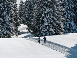 Inverno a Lana e sul Monte San Vigilio