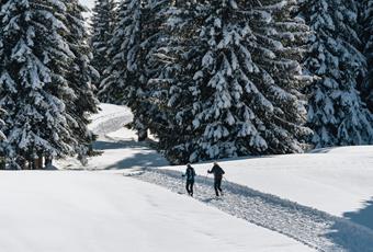 Winter in Lana und auf dem Vigiljoch