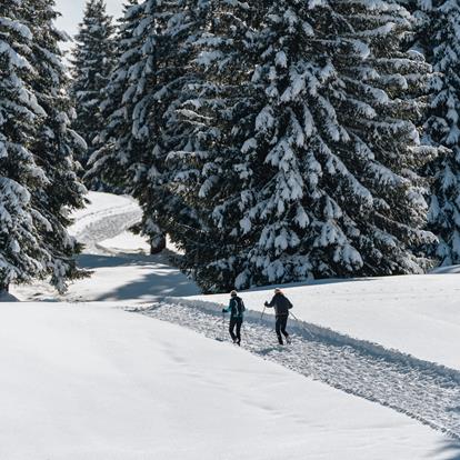 Wandern und Spazieren in Lana und Umgebung