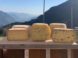 Ausserrassenhof, Jenesien