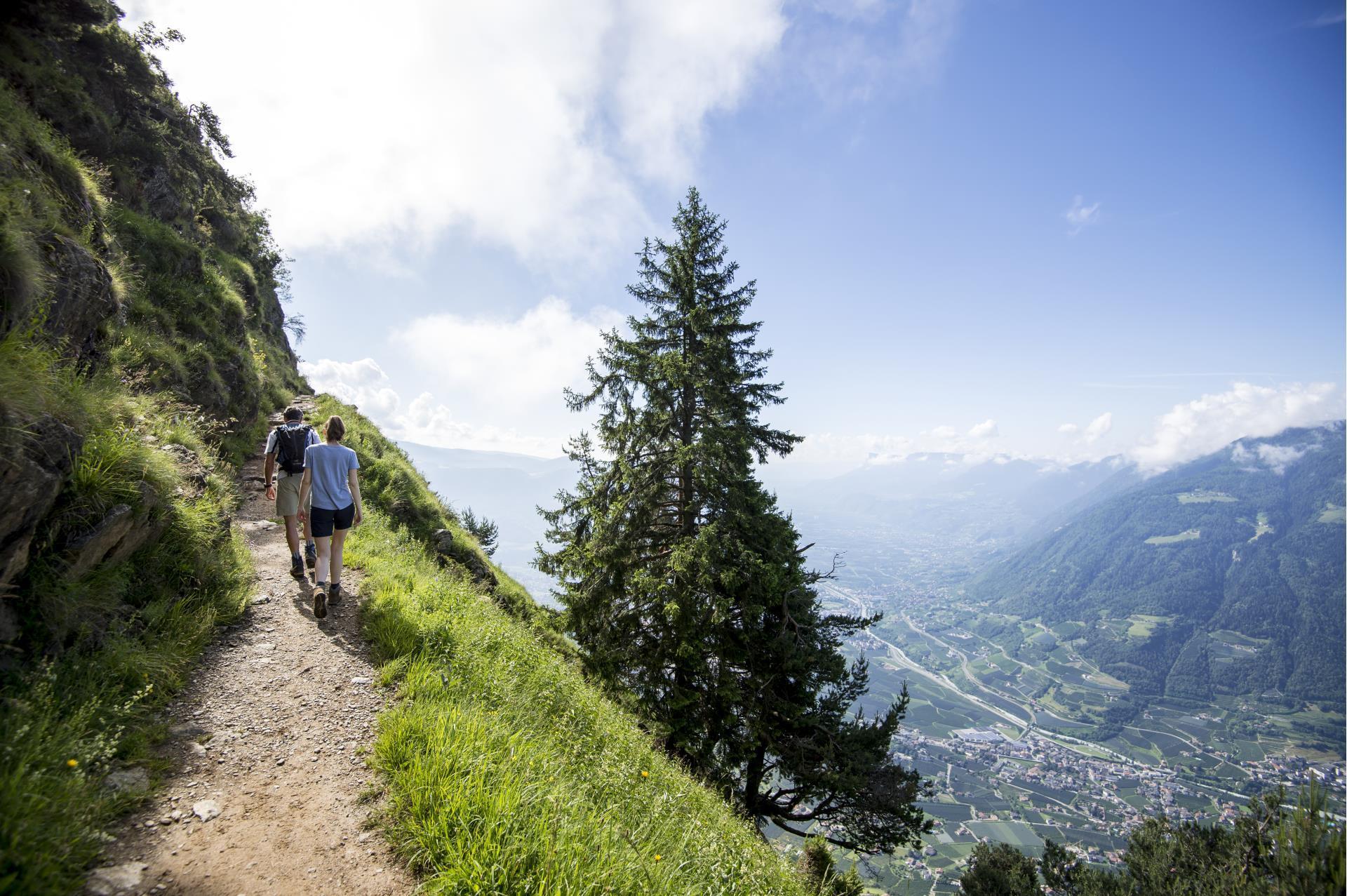 Alta Via di Merano